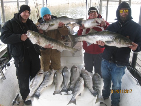 Nice Striped Bass